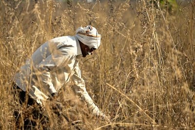 Farmer