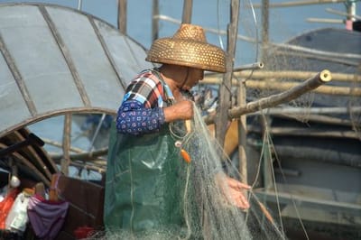Fisherman