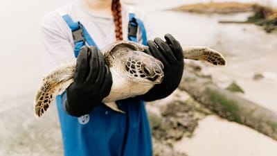 Marine Biologist