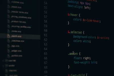 Web Developer